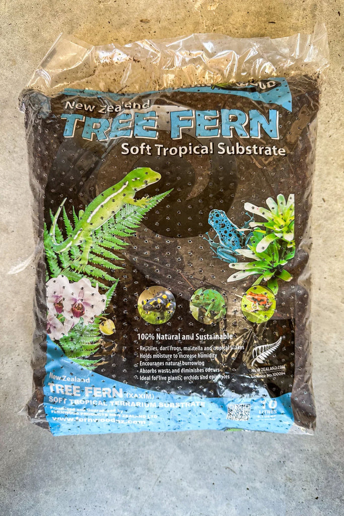 tree fern potting mix Buy Fernwood Tree Fern Fiber - 10L bag Online