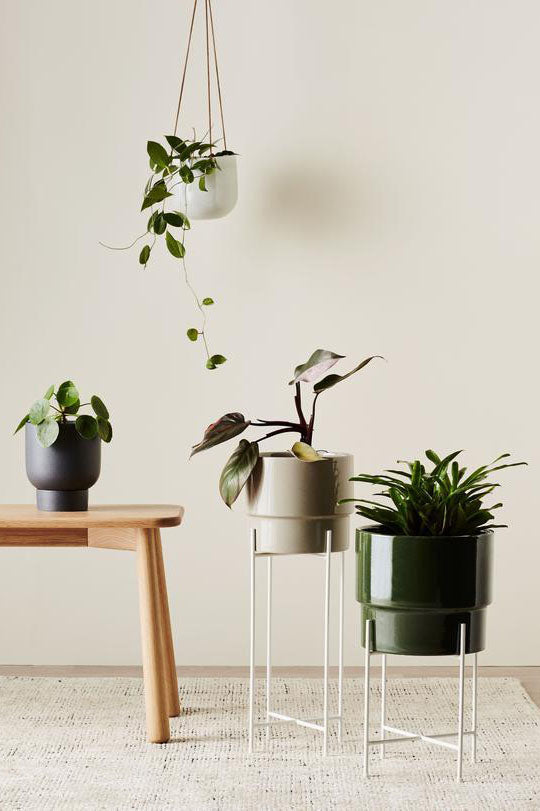 Iris Pot Stand by Evergreen Collective - Medium / White - PICK UP / LOCAL DELIVERY ONLY