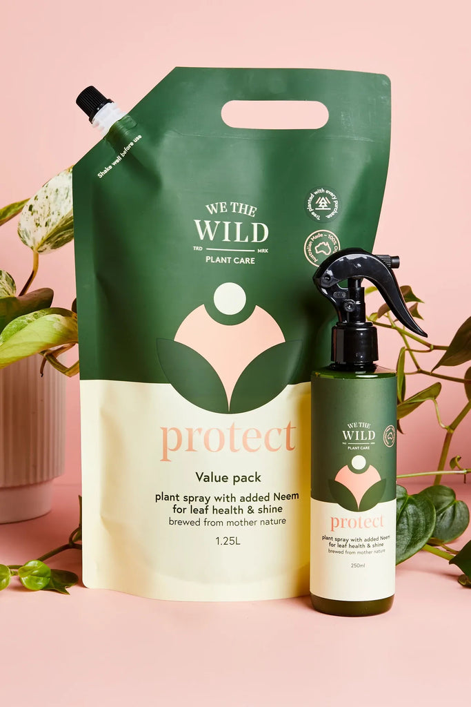 Leaf Health Kit by We the Wild