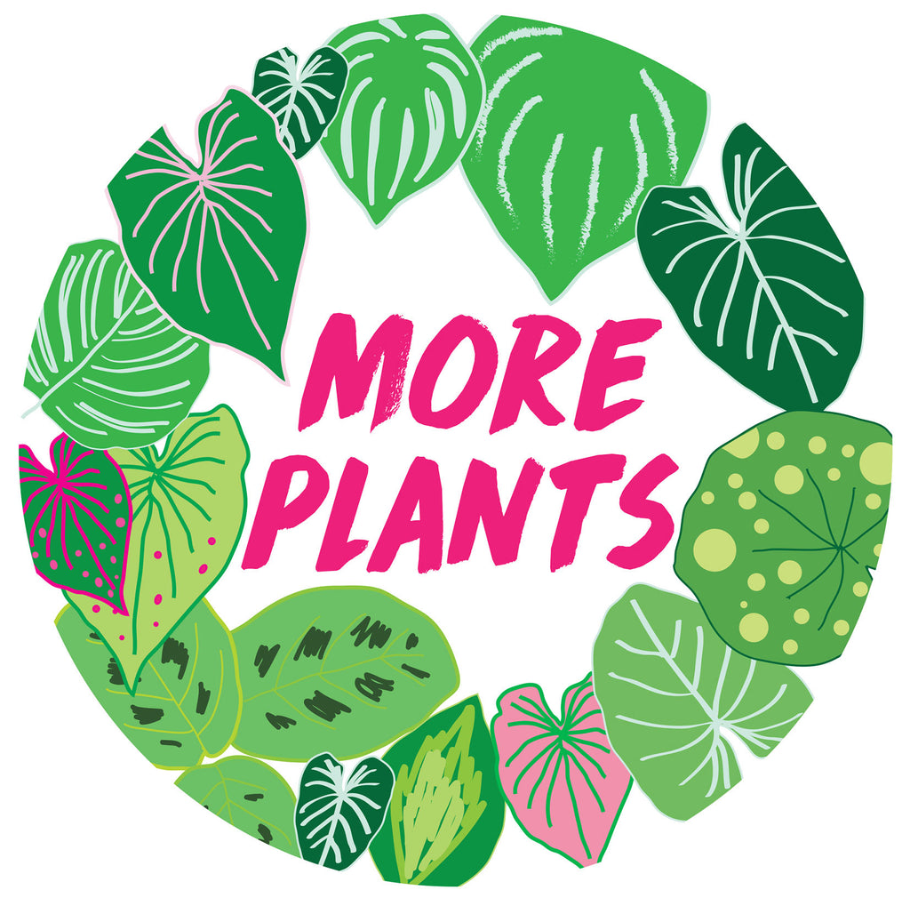 More Plants Gift Card